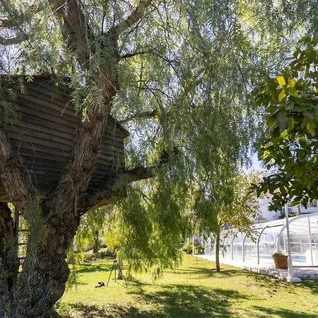 Tocororo En Pinos De Alhaurin Homestay Alhaurin de la Torre